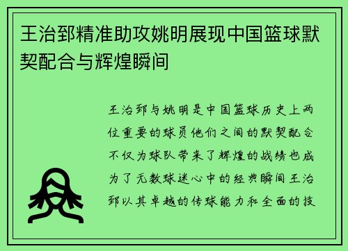 王治郅精准助攻姚明展现中国篮球默契配合与辉煌瞬间